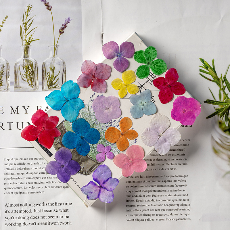 60 Peças de Flores de Hortênsi - Resin Art Frame avaliação e preço