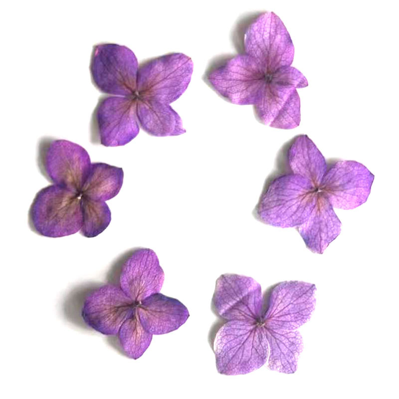 60 Peças de Flores de Hortênsi - Resin Art Frame avaliação e preço