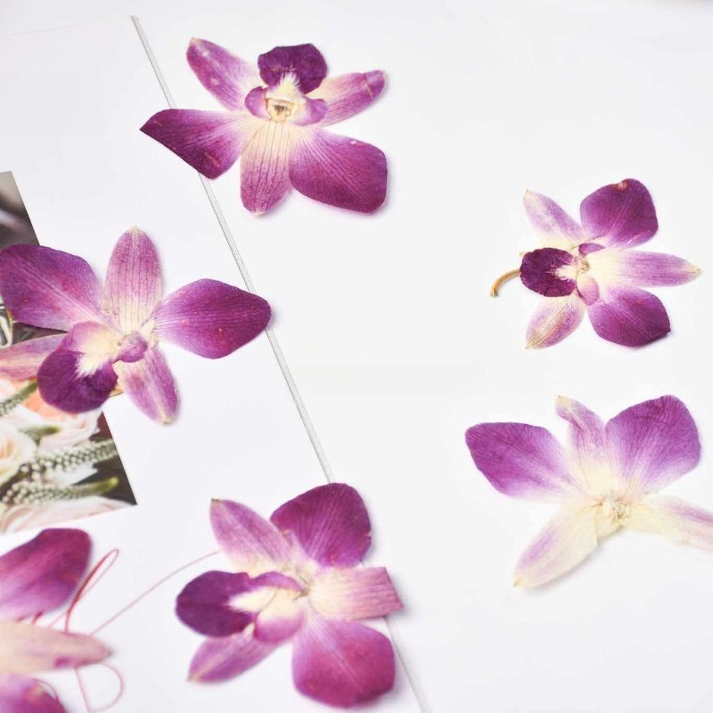 4 peças, Flores de Orquídea Bo - Resin Art Frame avaliação e preço