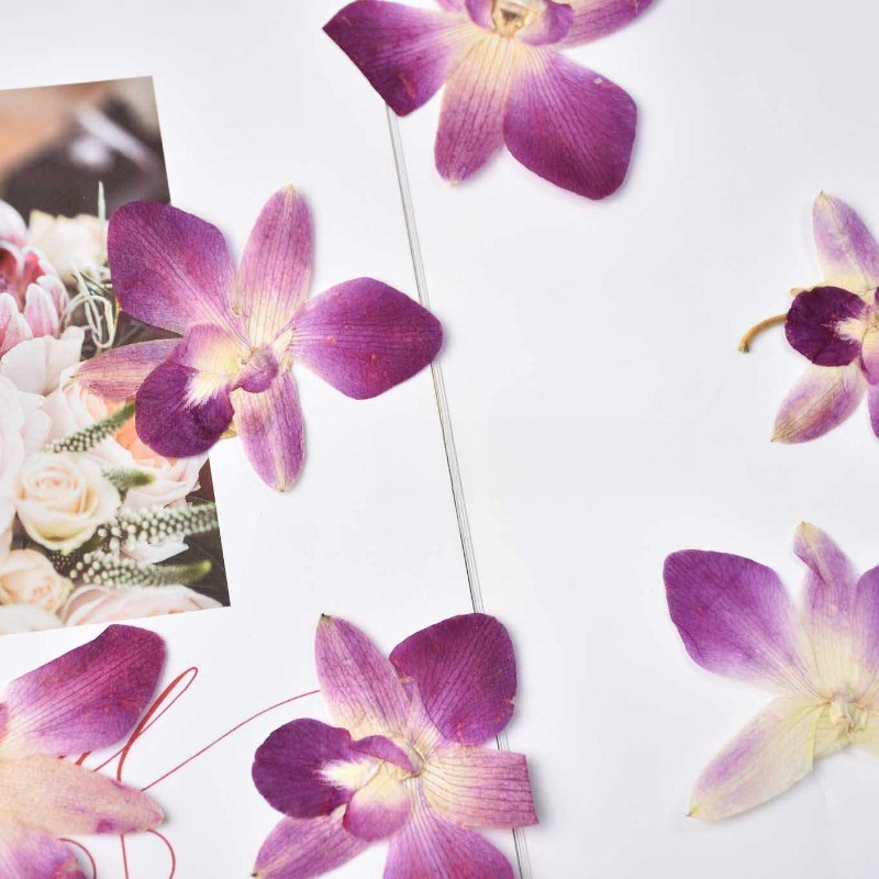 4 peças, Flores de Orquídea Bo - Resin Art Frame avaliação e preço