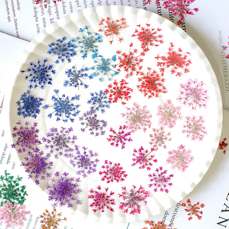 24 peças, 2-2,5cm, Pétalas de  - Resin Art Frame avaliação e preço